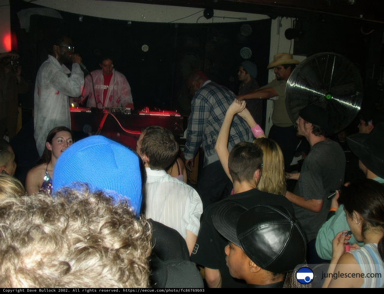 Party People Grooving to the DJ's Beats