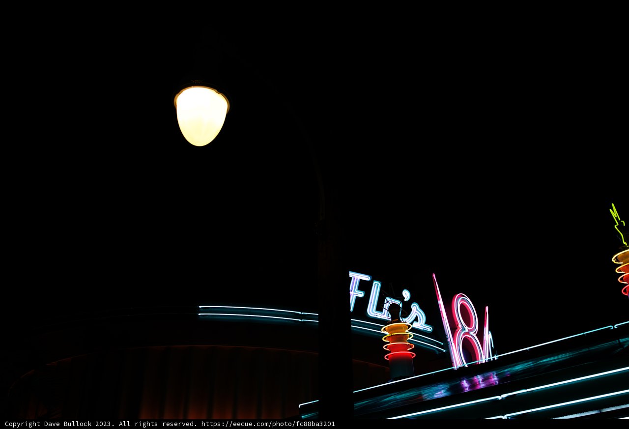 Time Flies in the Neon Night