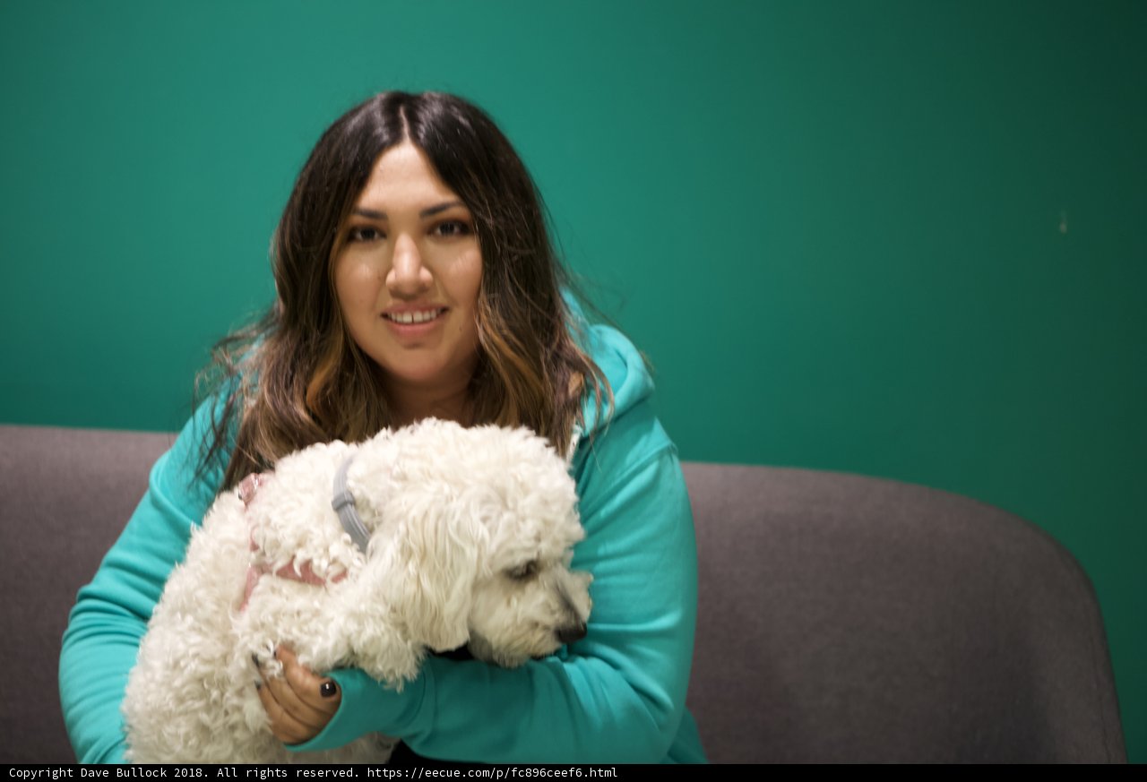 Woman and Her White Dog