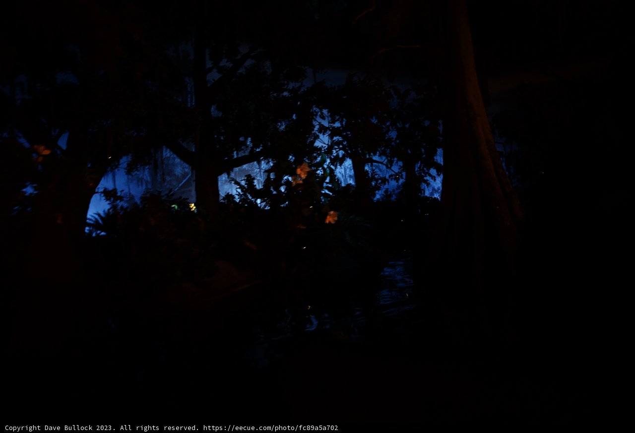 Enchanting Nocturnal Waterscape