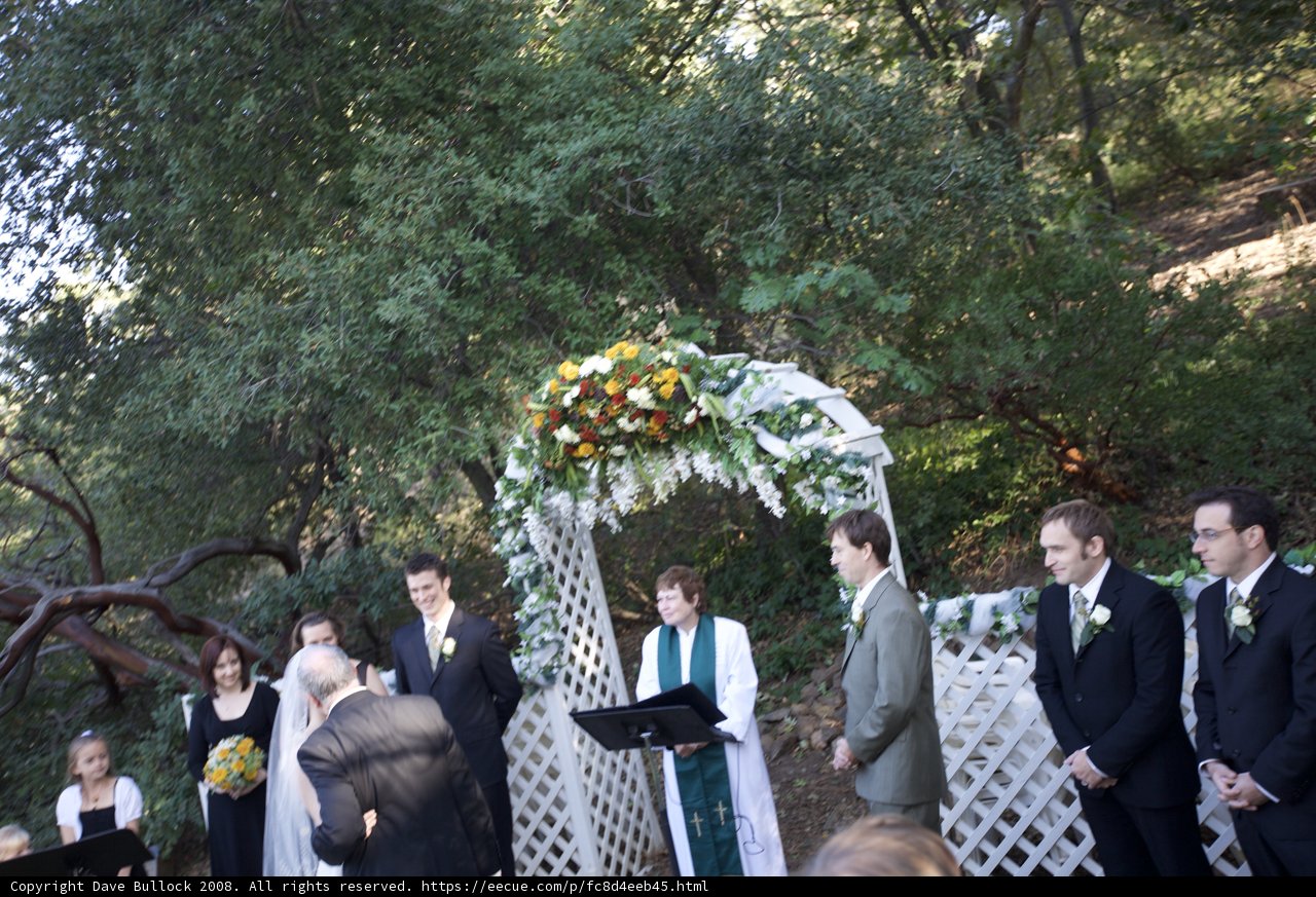 Truitt Wedding Ceremony in the Woods