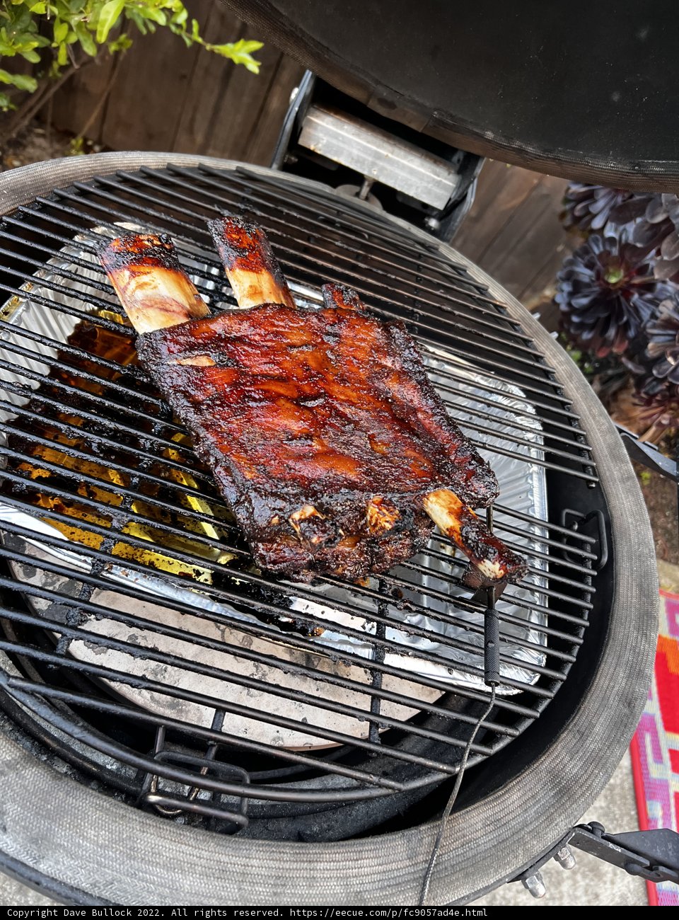 Grilled Delights: Mouthwatering Ribs and Chicken on the BBQ