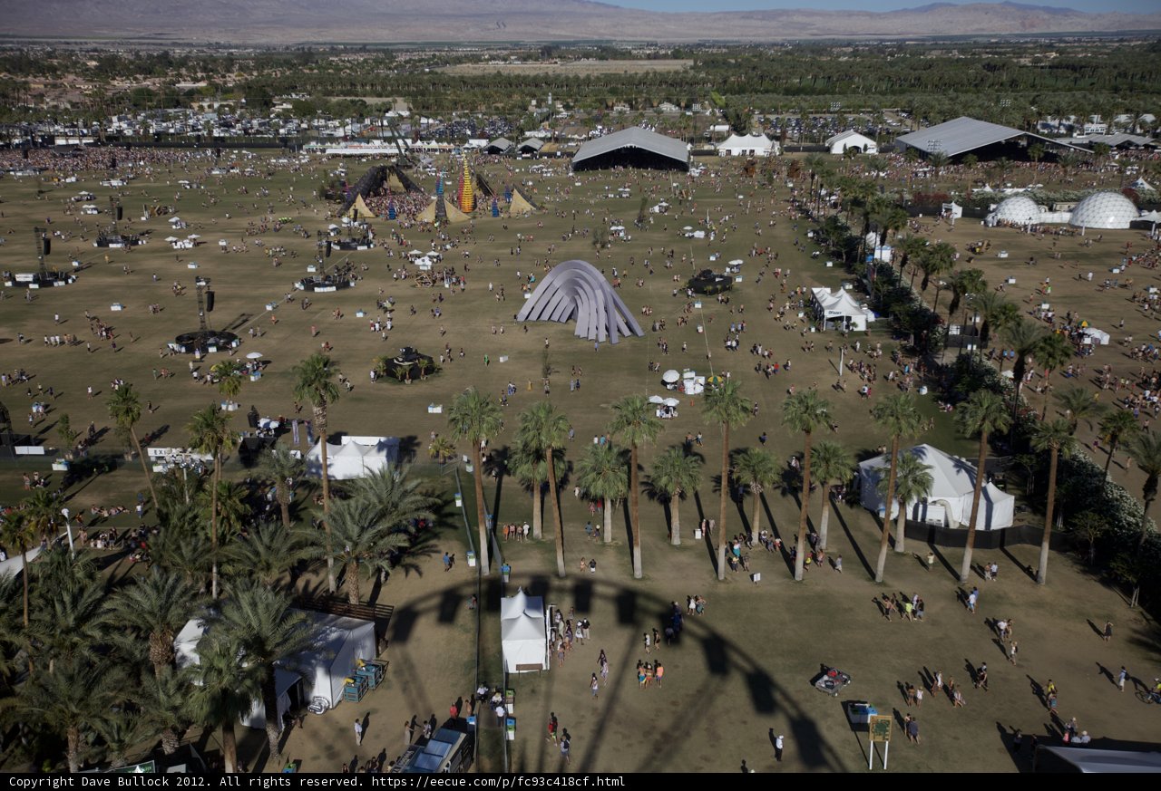 Festive Gathering Under Palm Trees