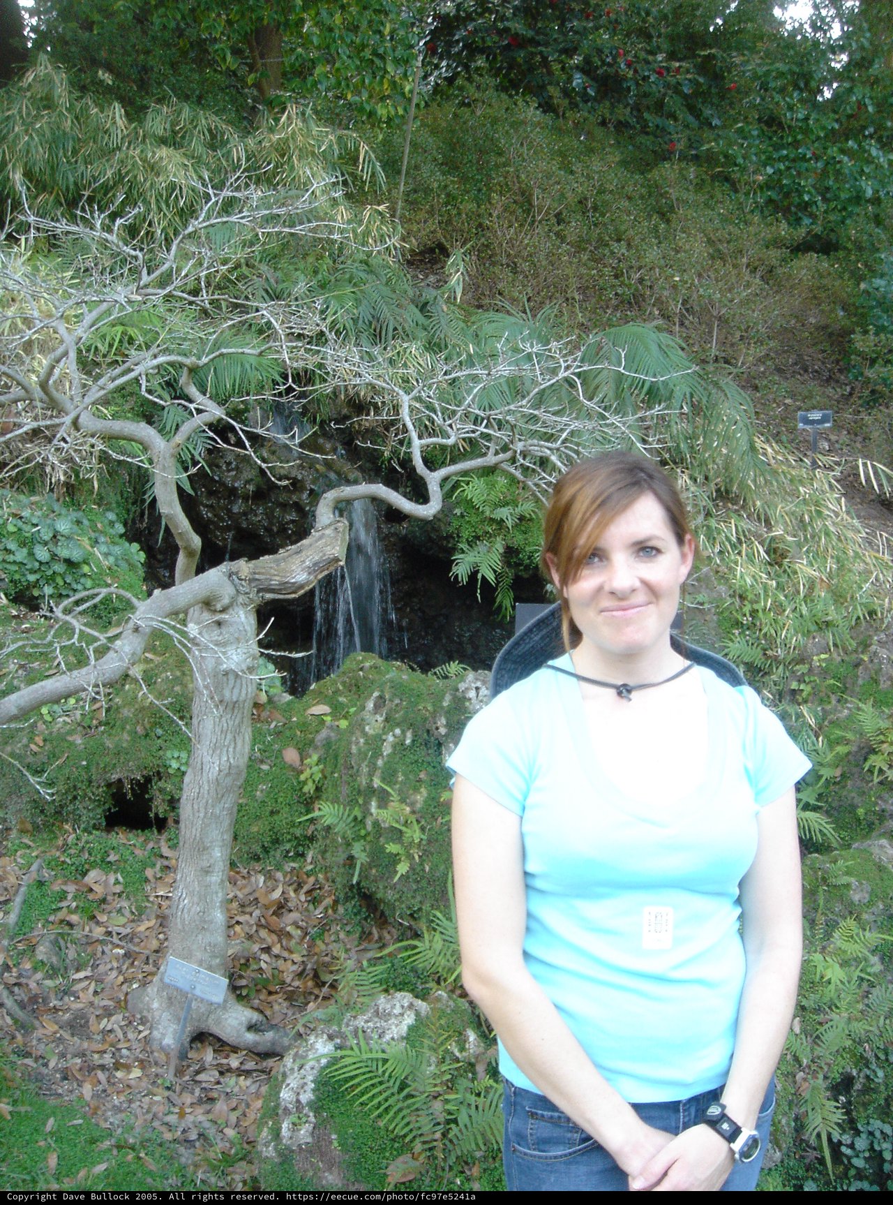Woman Smiling Beside Bare Tree at Garden Waterfall