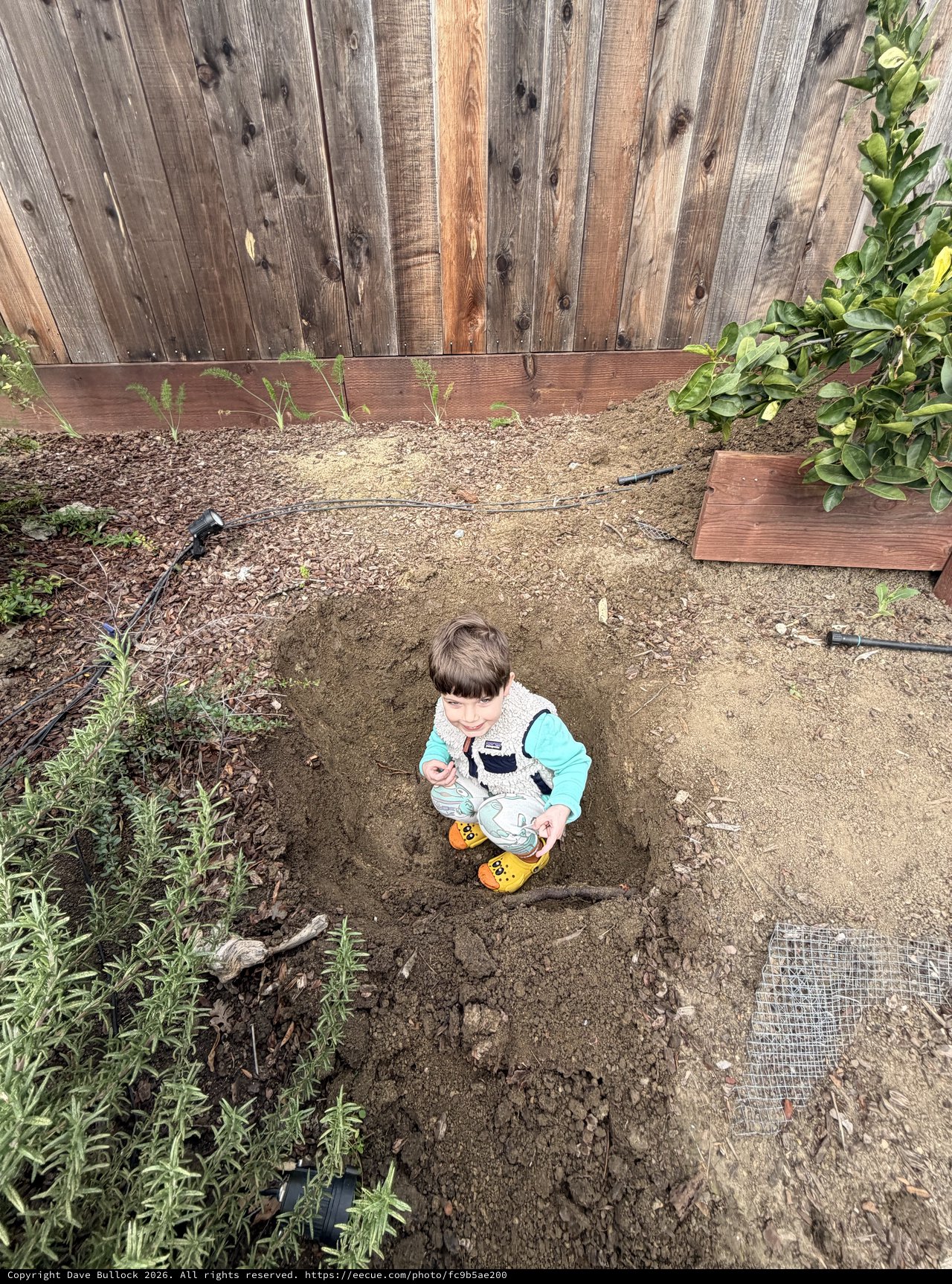 Young Child Playing in Backyard Garden Area
