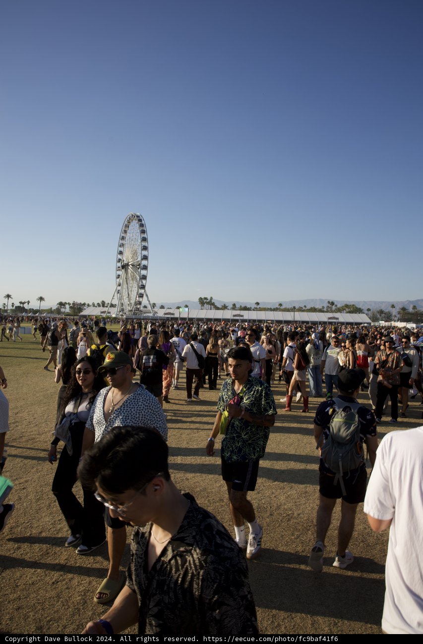 Coachella Vibes: Fashion and Festivities Under the Ferris Wheel