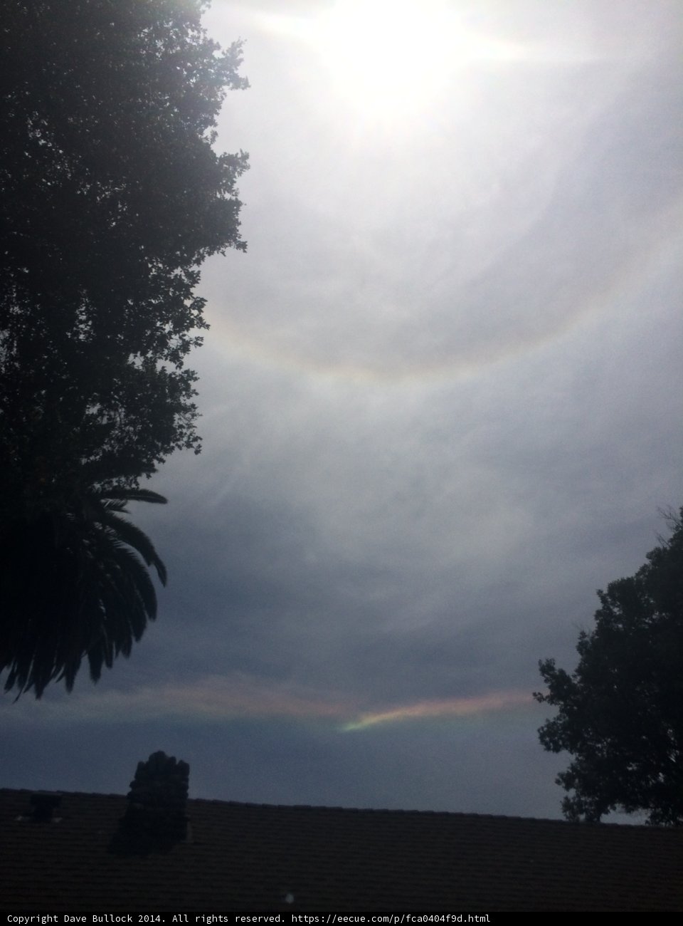 Rainbow Halo in the Altadena Sky