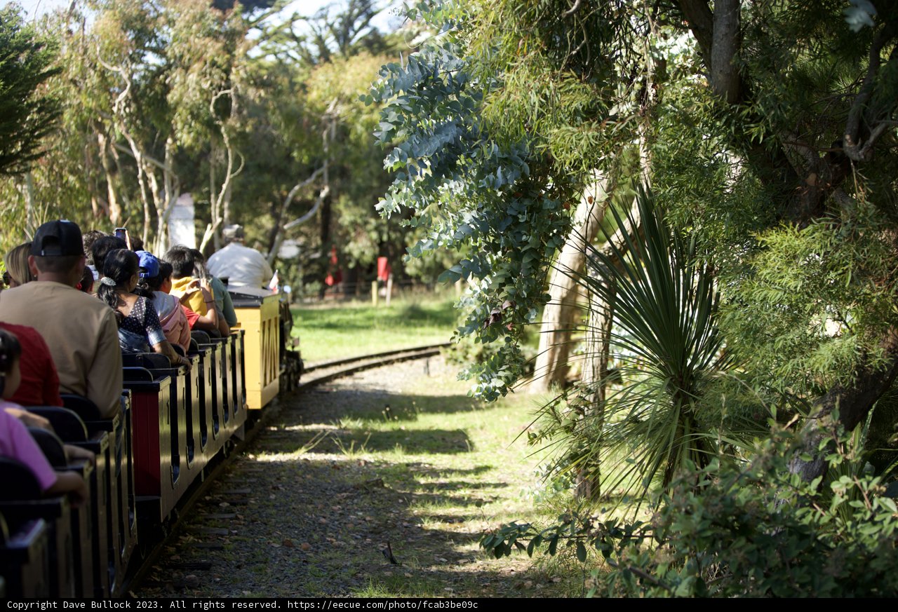 Whistle-stop Adventure Through Verdant Greens