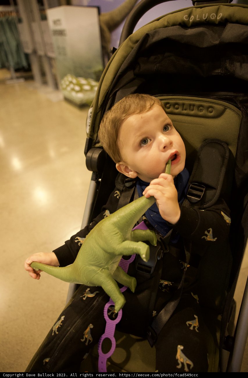 Day Out with Wesley and his Primeval Pal