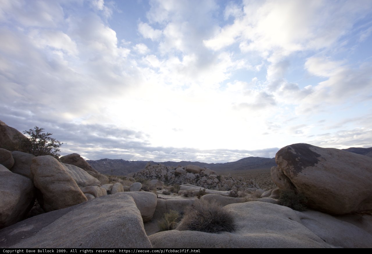 Sky Over Joshua Tree