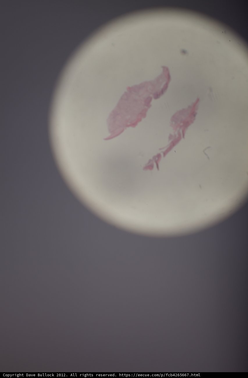 Pink Egg Stain on White Plate
