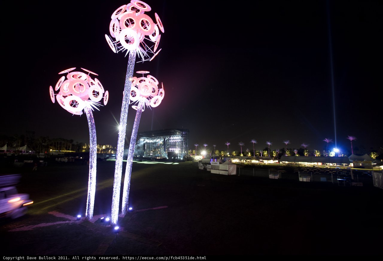 Illuminated Garden
