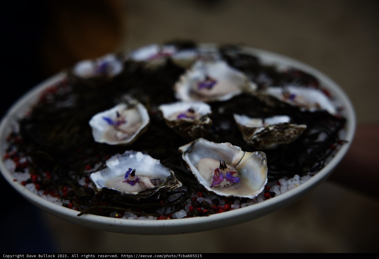 Pescadero's Delight: Oysters and Blooms