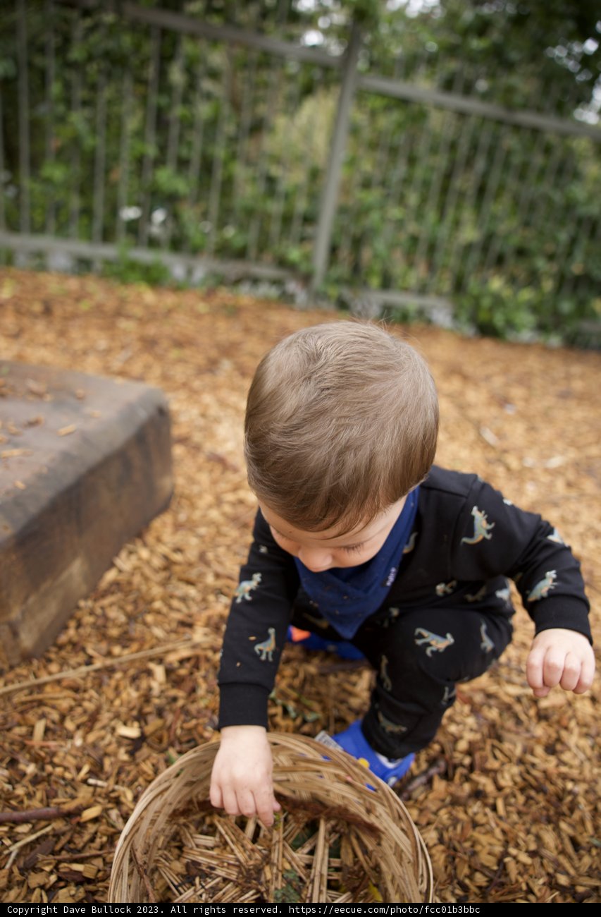 A Day Full of Discovery - A Young Wesley at Play