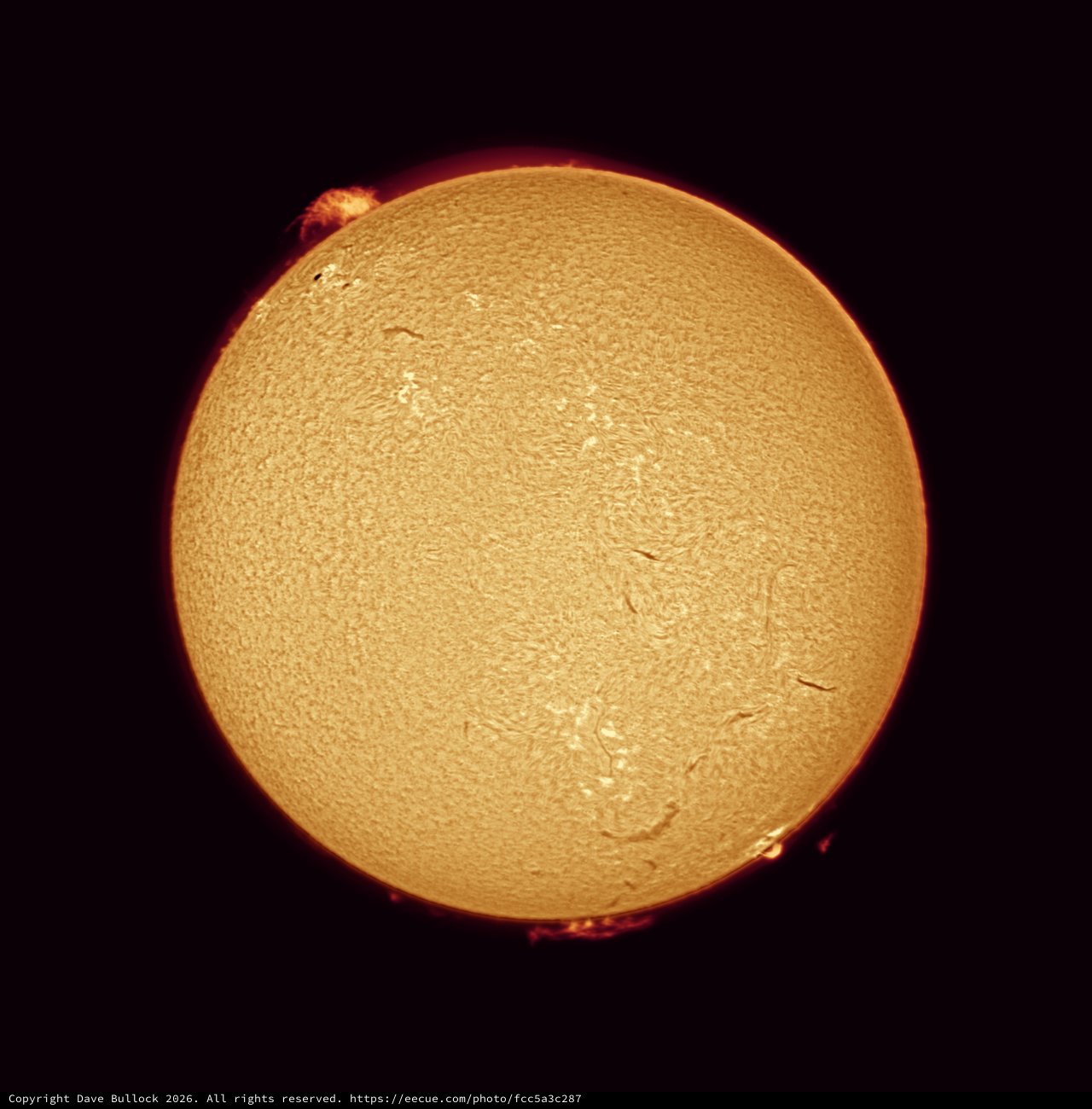 Solar Chromosphere in Hydrogen-Alpha Light