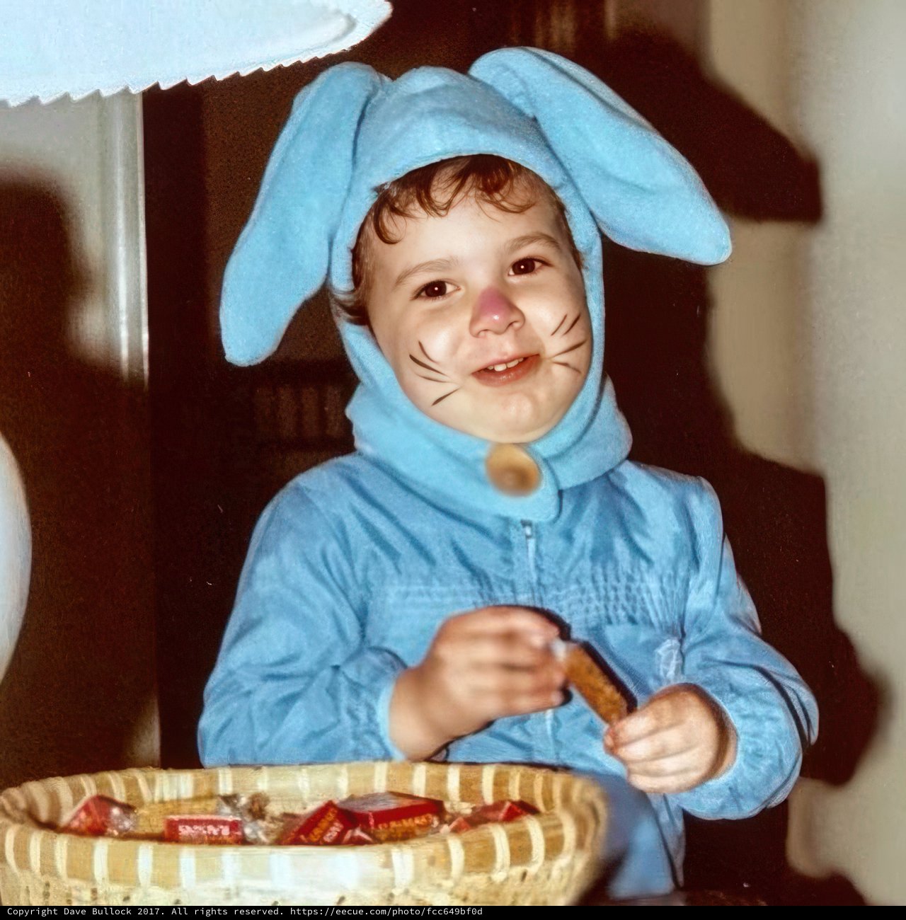 The Cutest Bunny in Town