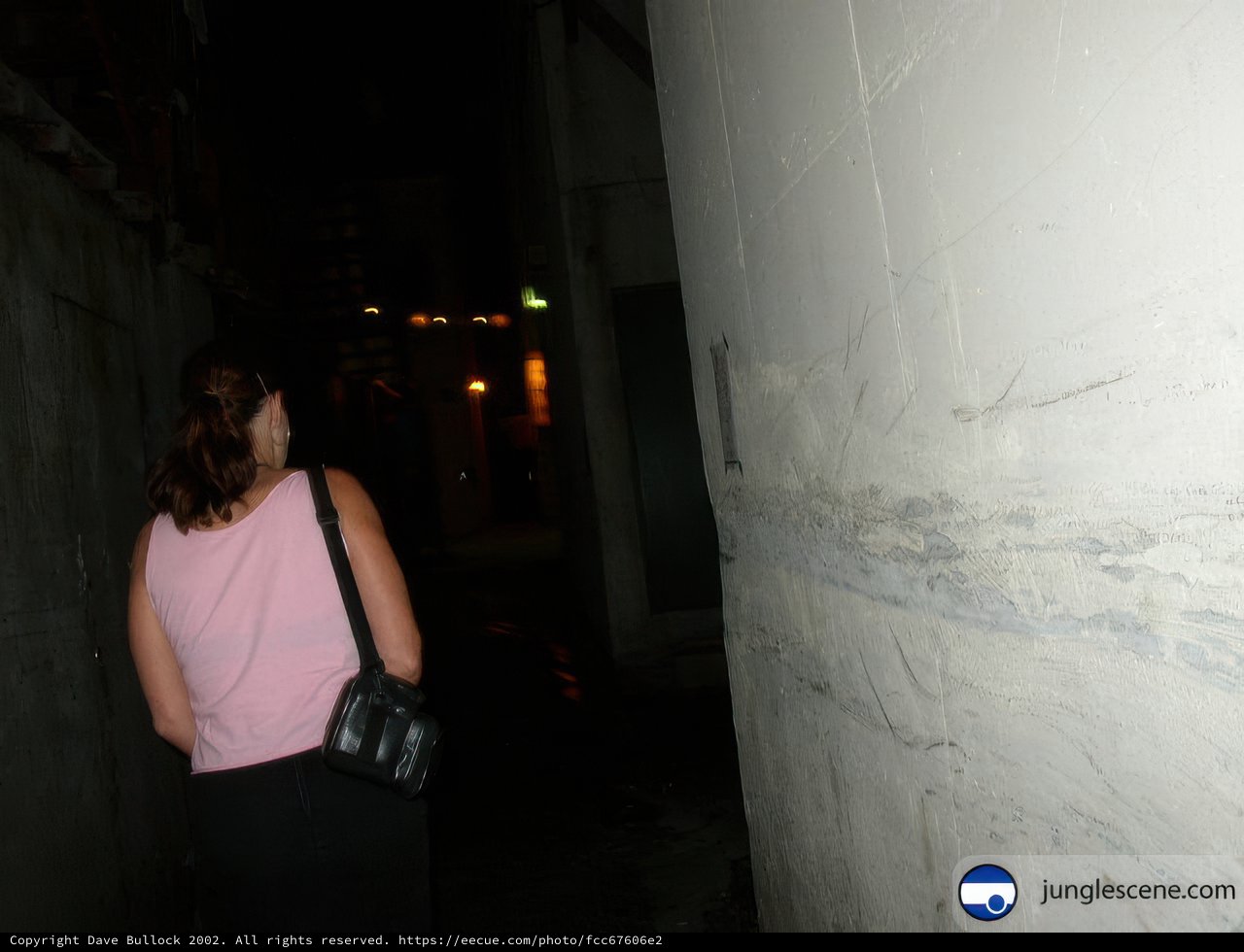 The Lone Woman in the Dark Alley