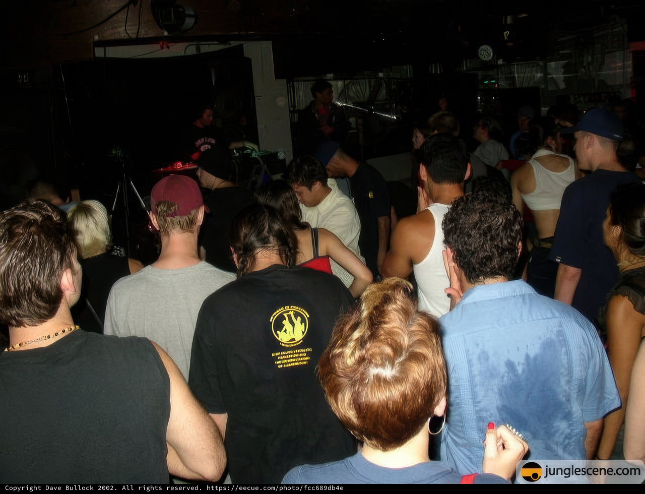 Nightclub Crowd at July 4th Bash