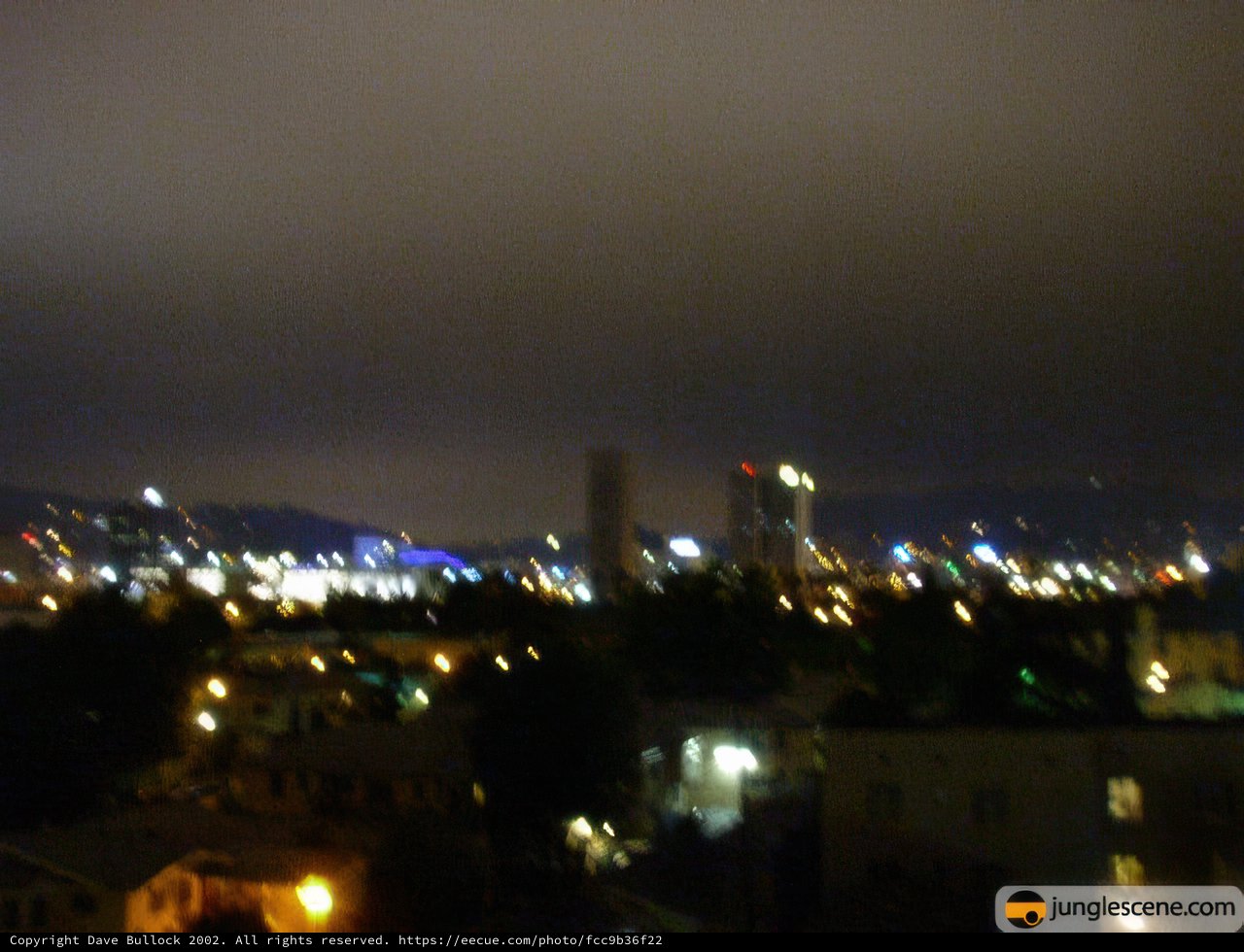 Metropolis at Night