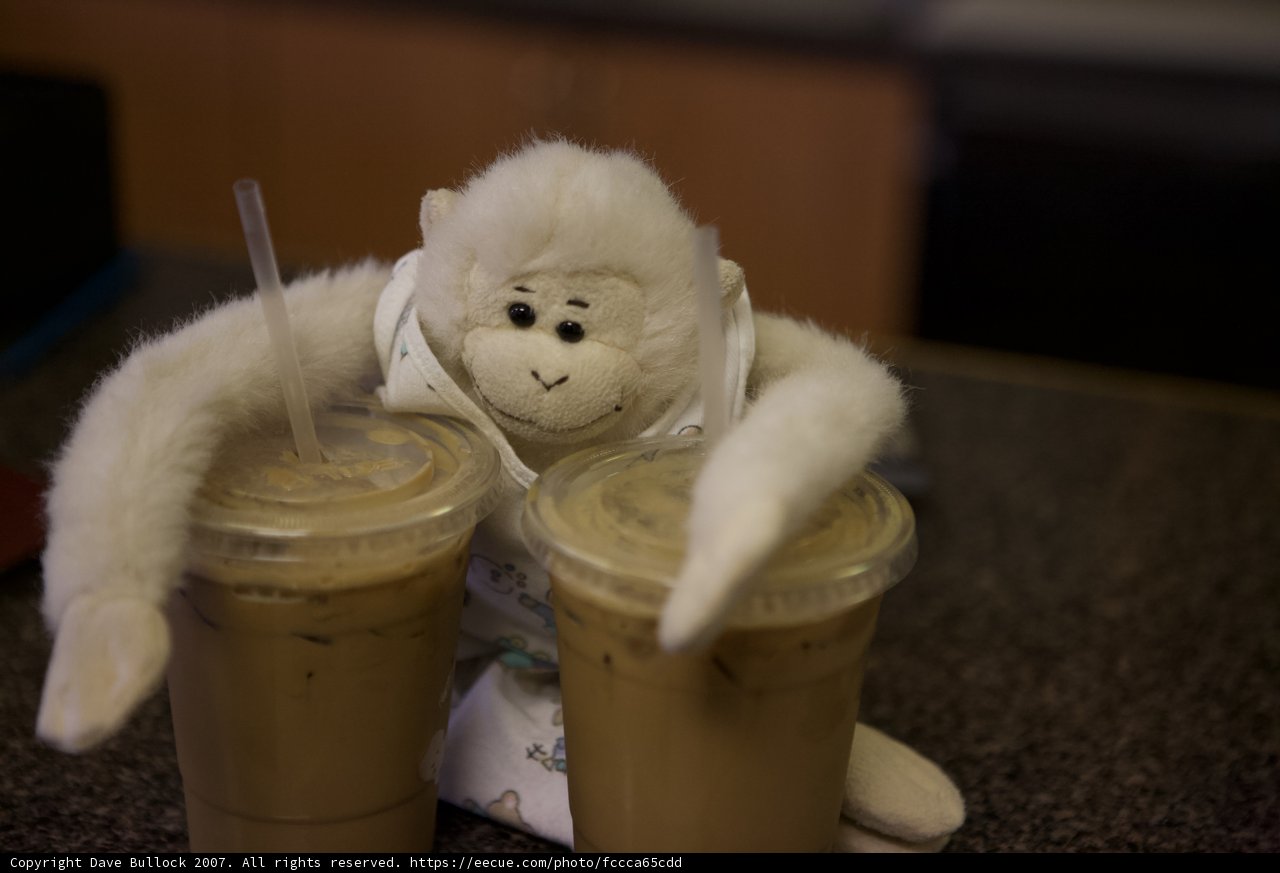 Monkey Business with Double Treat