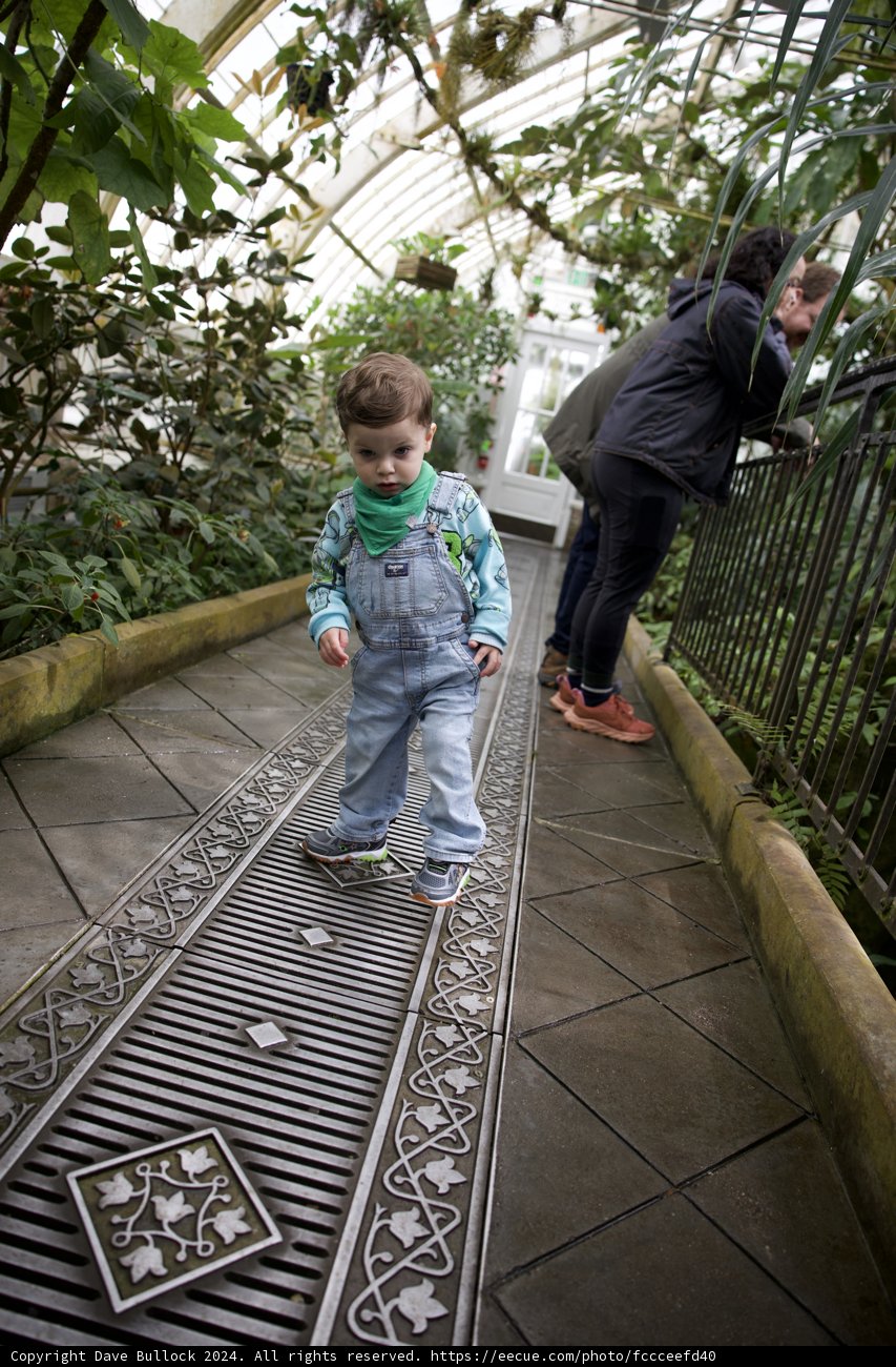 Childhood Exploration: A Stroll in the Greenhouse