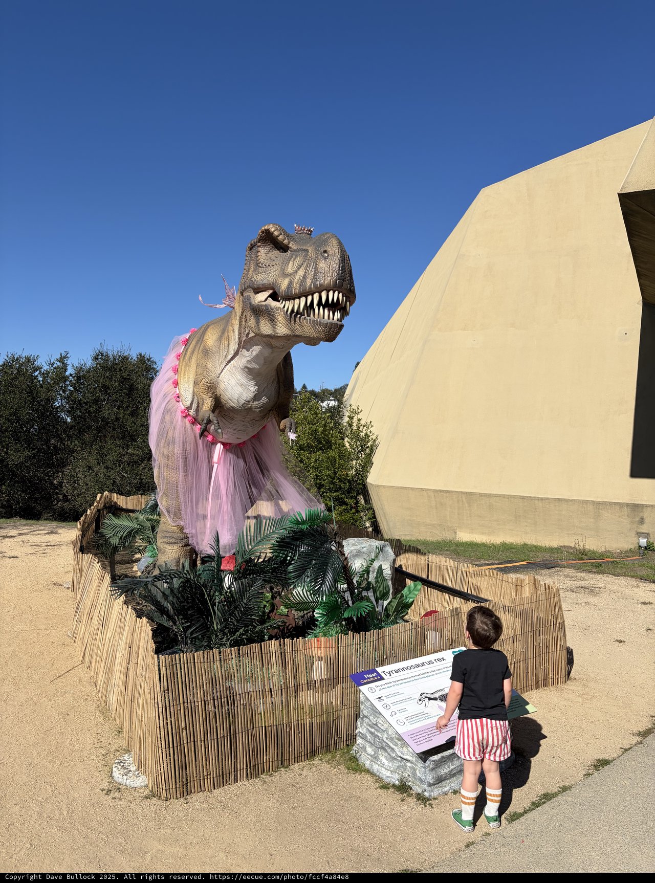 Child Encounters T-Rex in Pink Tutu at Dinosaur Park