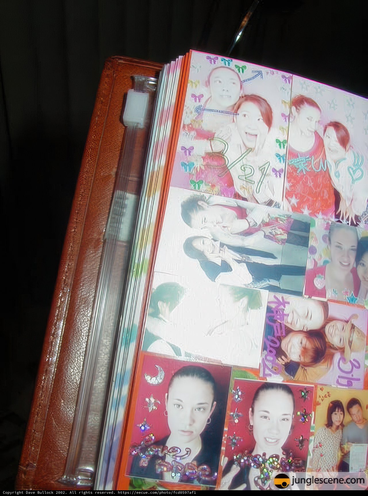 Faces of Life: A Document of 13 People with 6 Babies, 4 Women, 4 Adults, and 4 Females
