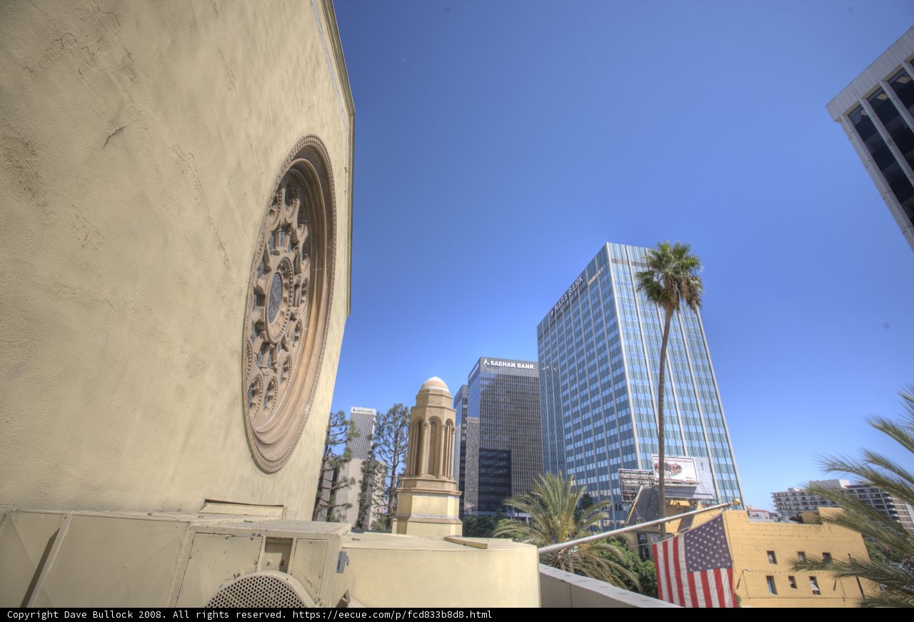 Time and Palm Trees in the Metropolis