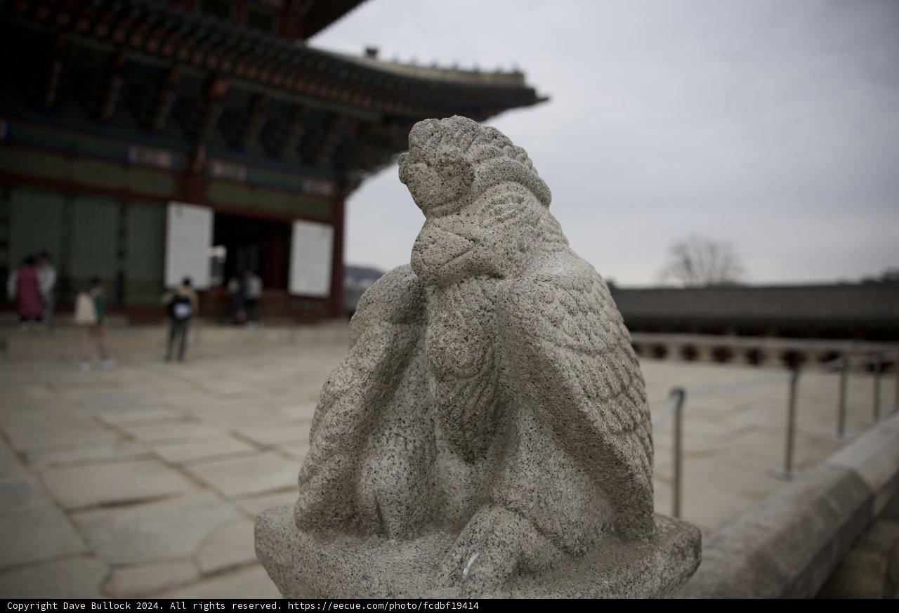 Stone Sentinel: The Owl of the Monastery