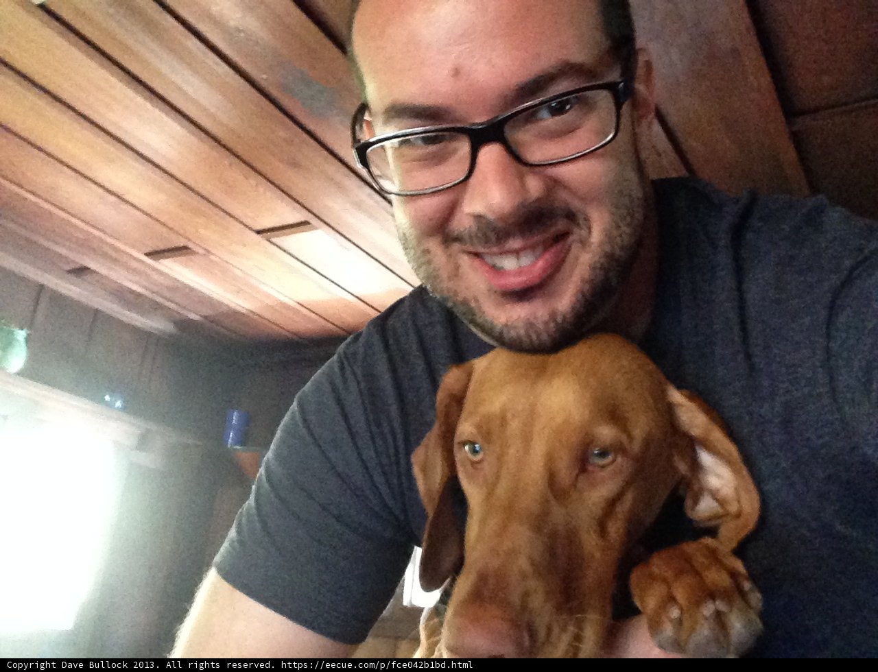 Dave B and His Four-Legged Friend