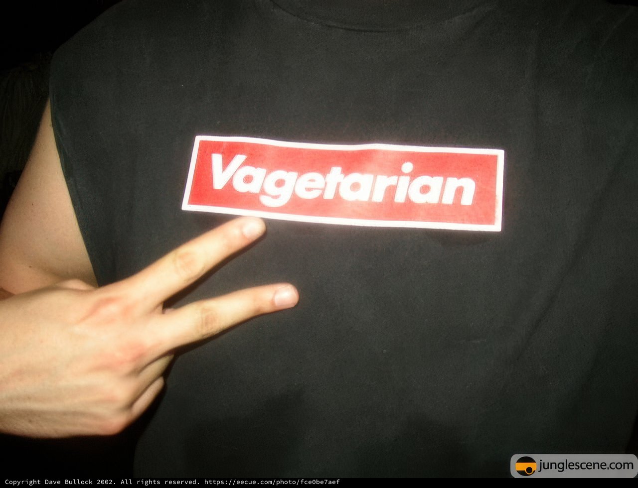Vegetarianism in Fashion