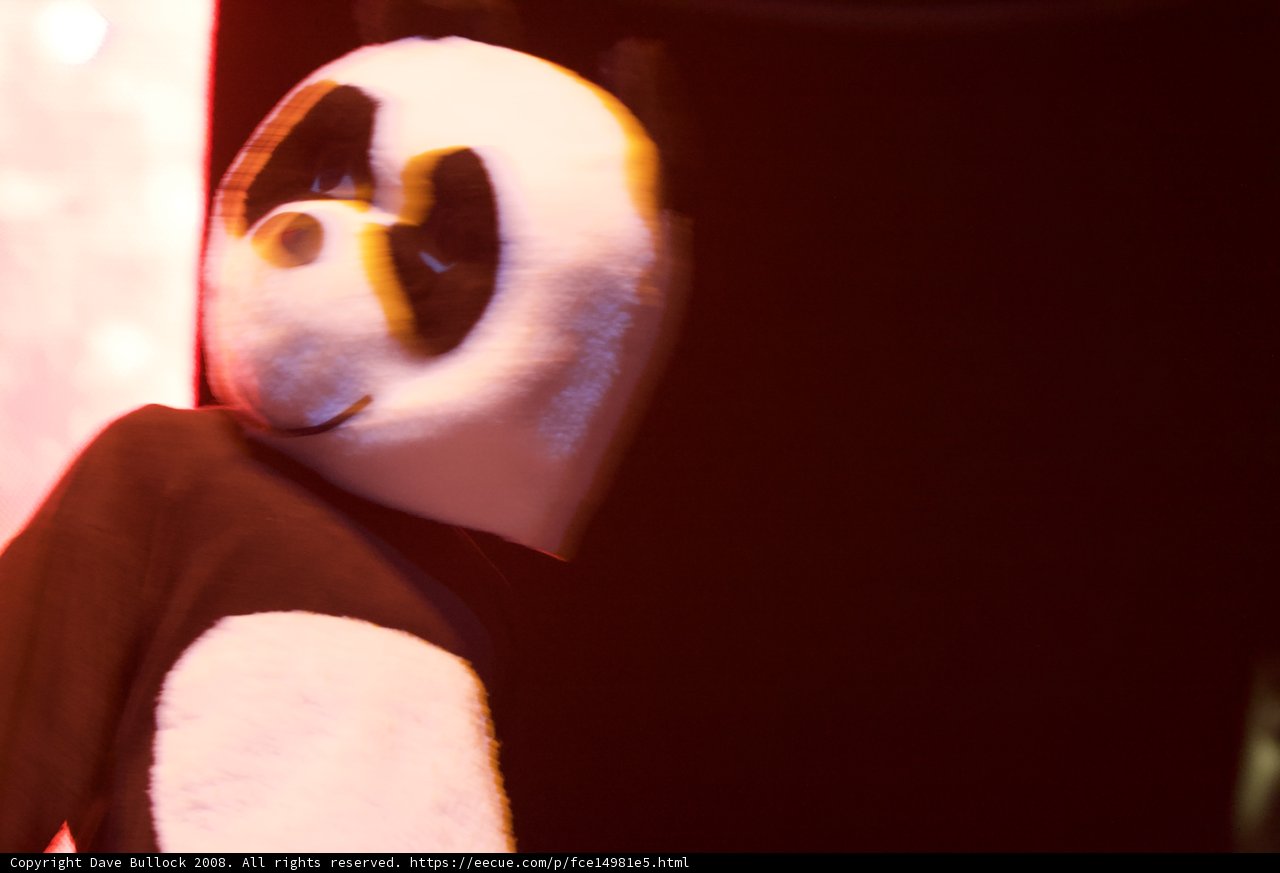 Panda Party at Coachella