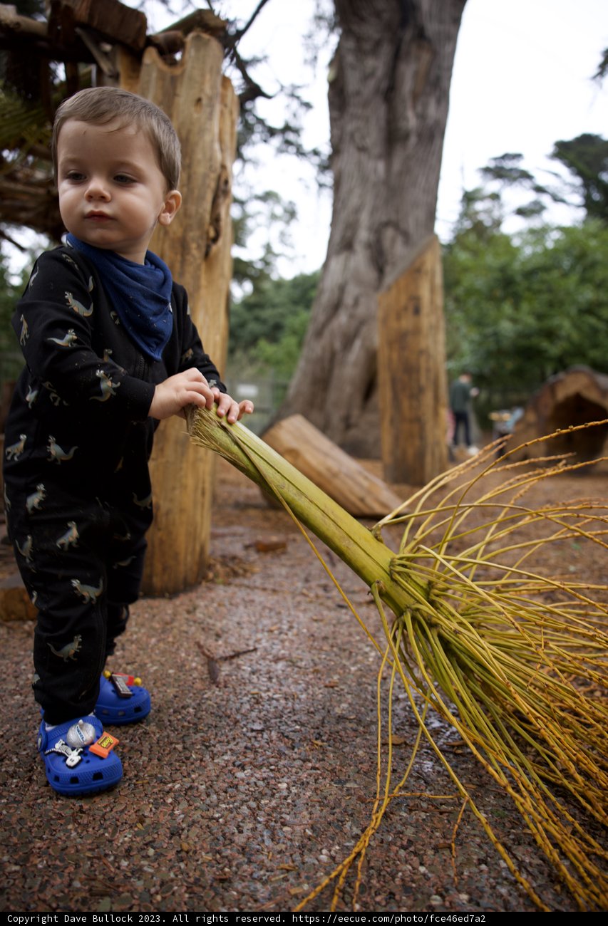 Adventure at Golden Gate Park