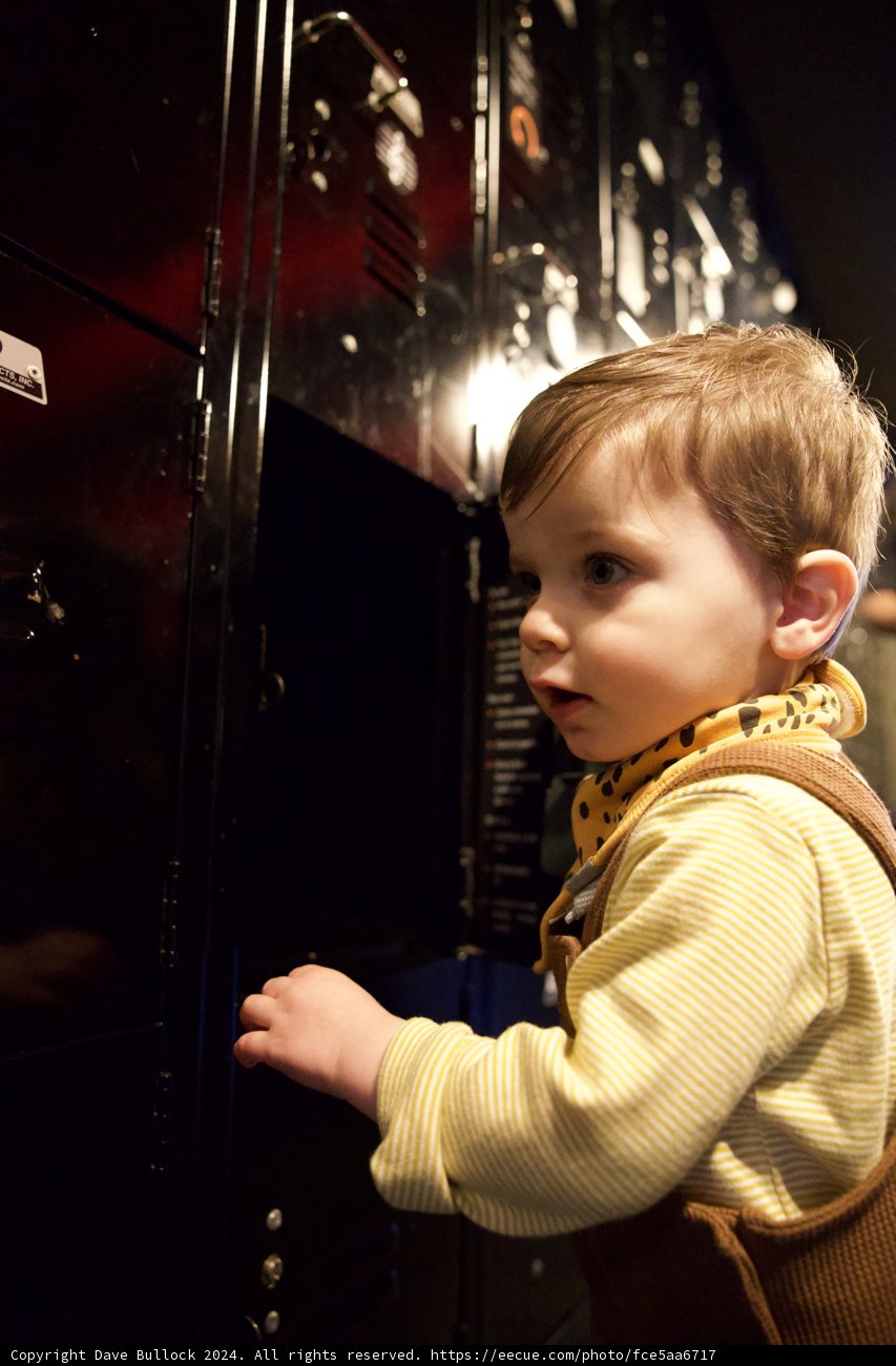 Curiosity Unleashed: Wesley's Exploration