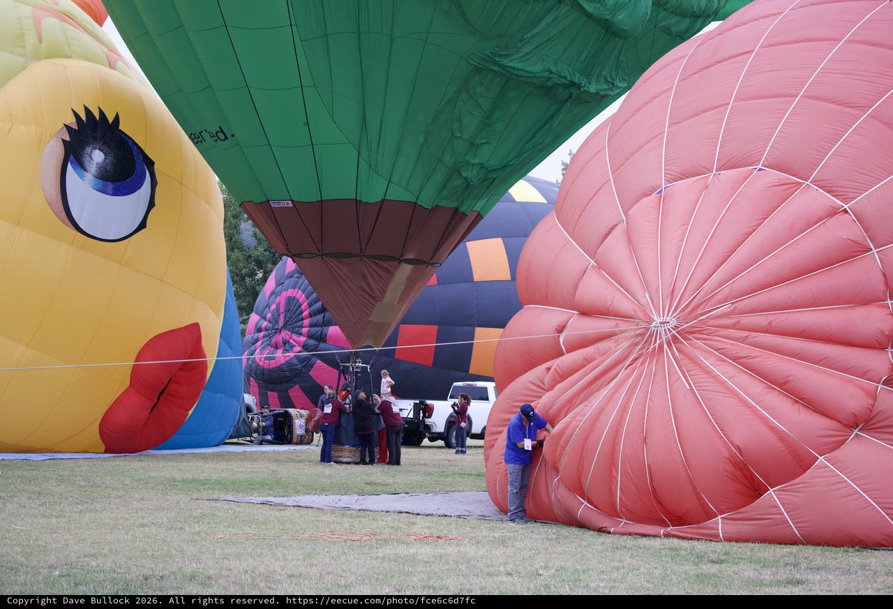 Colorful Hot Air Balloons Inflating at Festival Ground