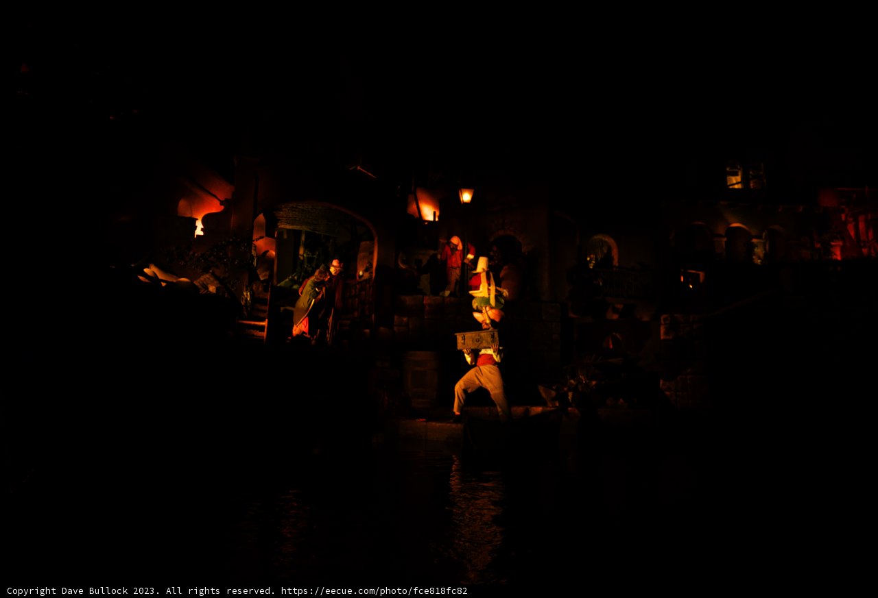Enchanting Night Cruise at Disneyland