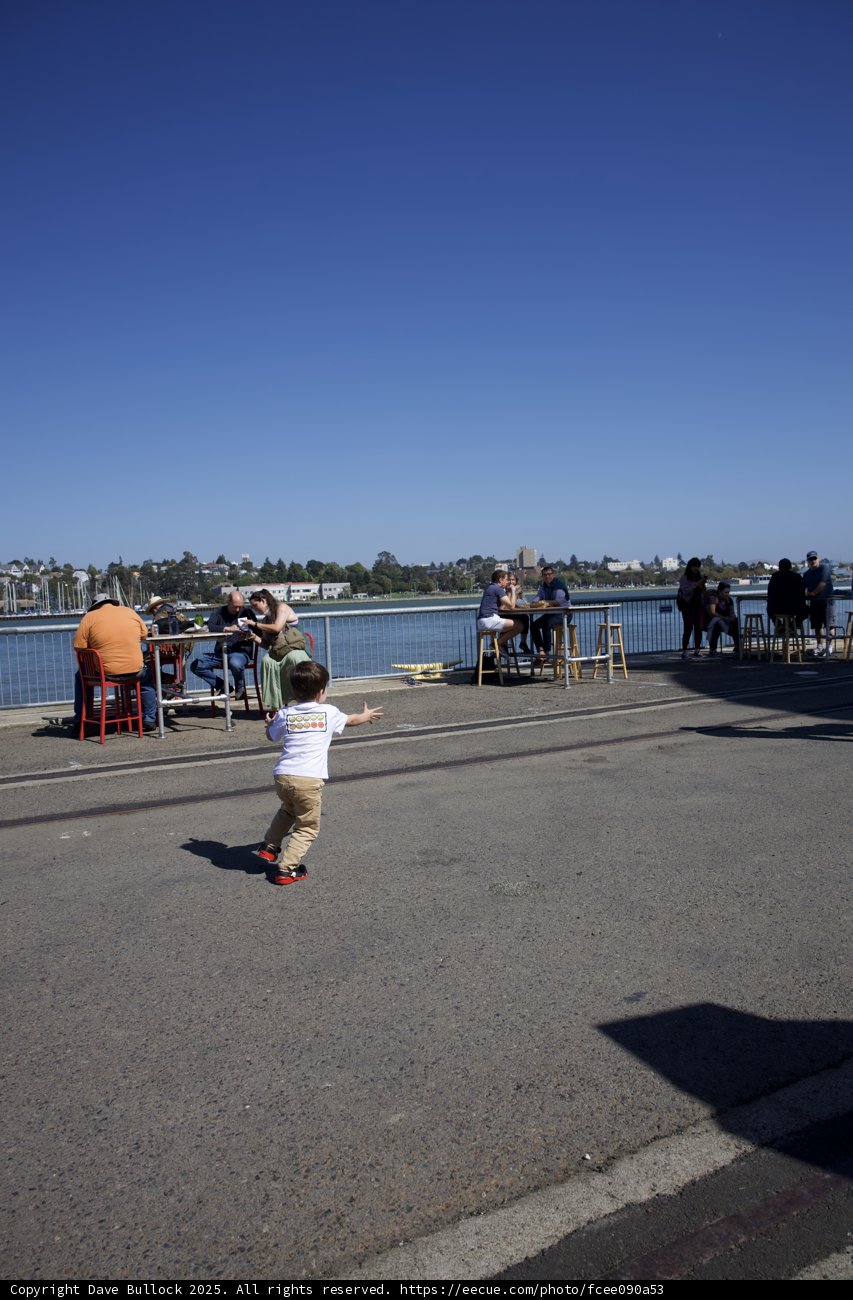 Waterfront Wanderlust