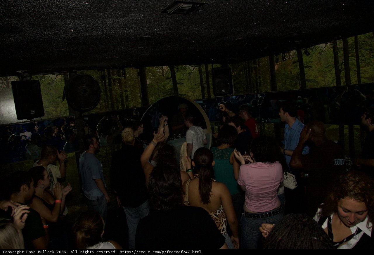 Nightclub Party Madness
