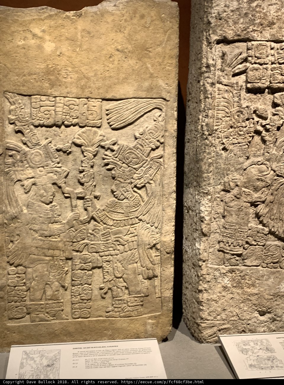 Ancient Carvings on Display