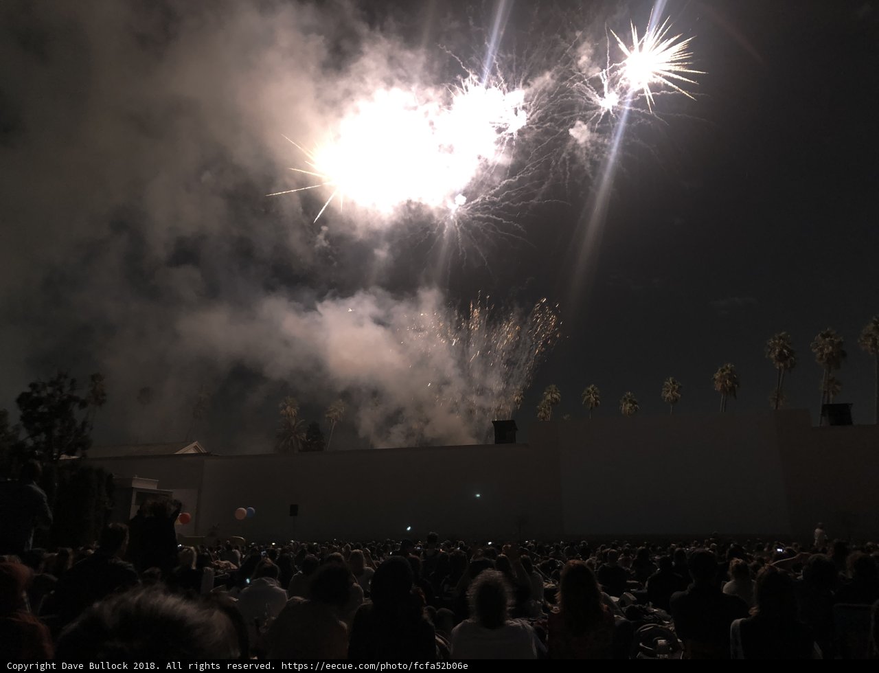 Fireworks Light Up the Night Sky Above Excited Crowd