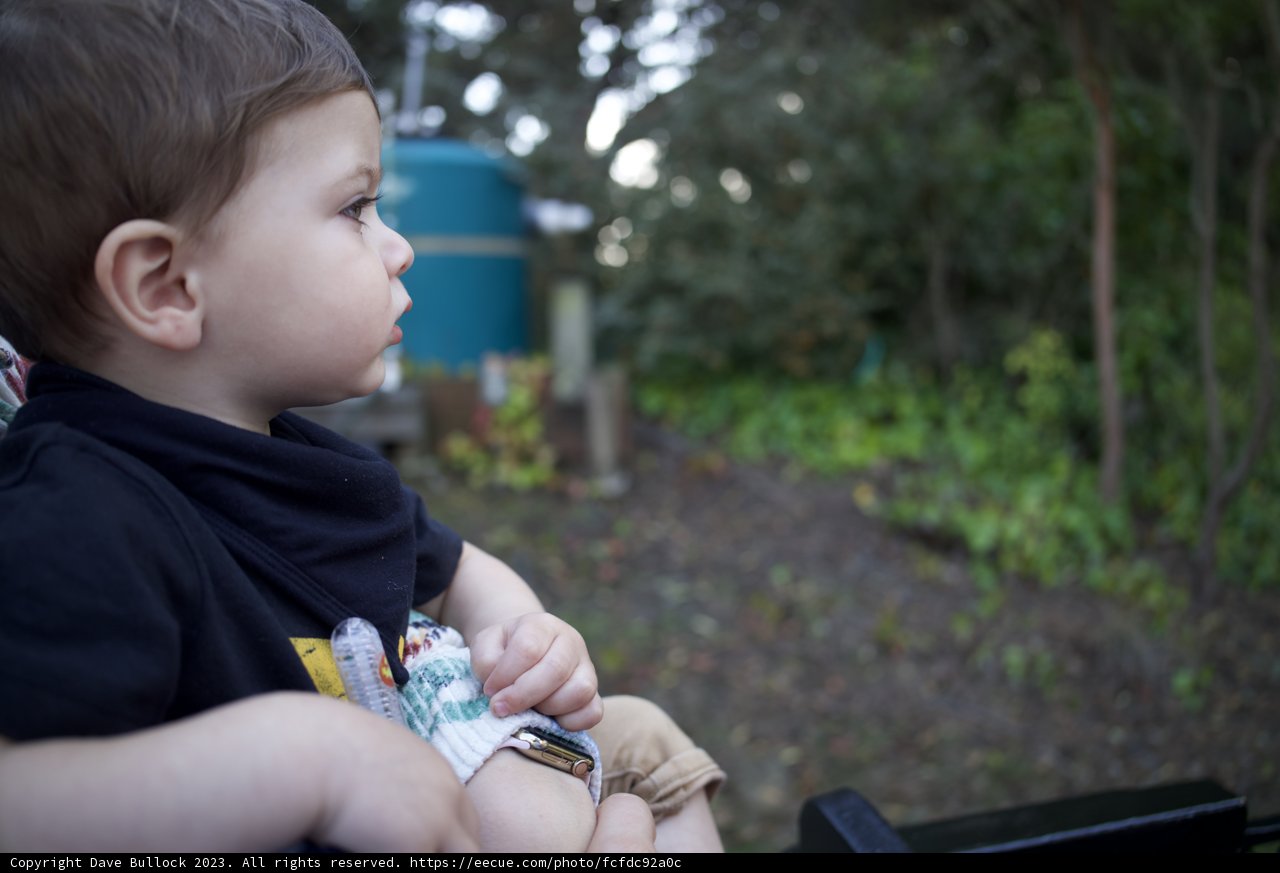 A Day of Wonder at SF Zoo