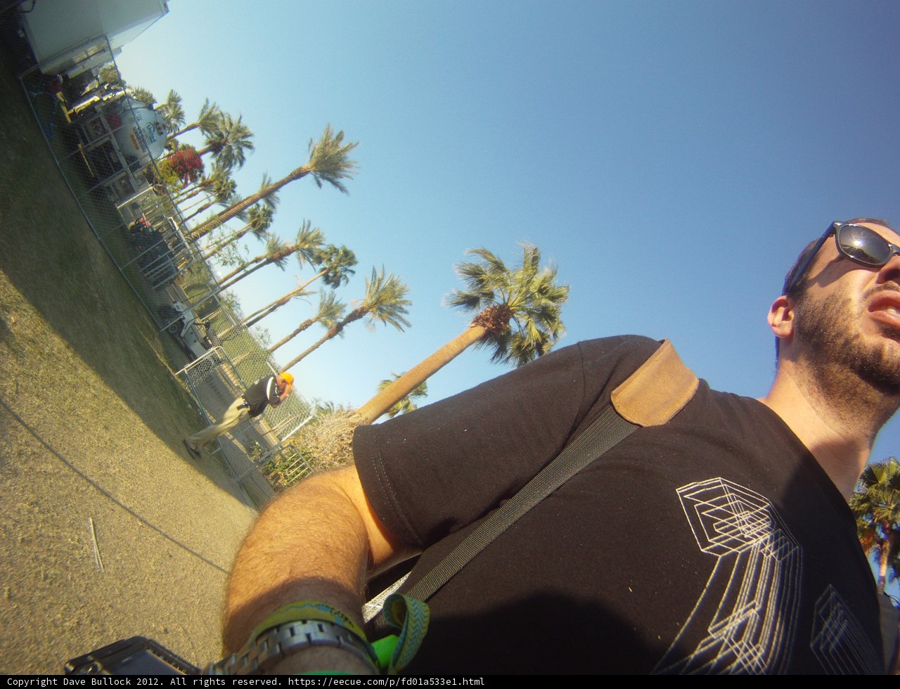 Summer Selfie under Palm Trees