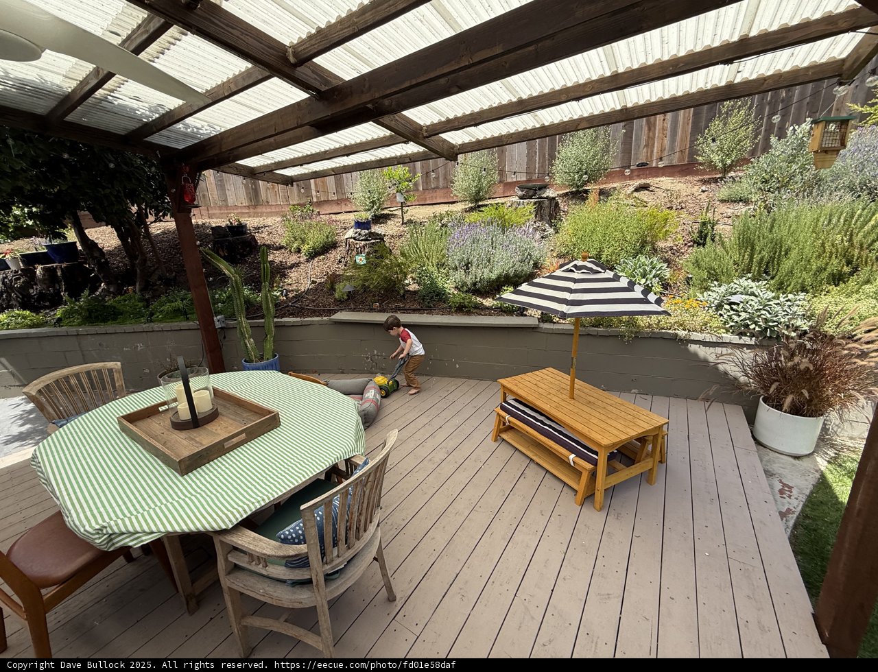 Summertime Serenity on the Patio