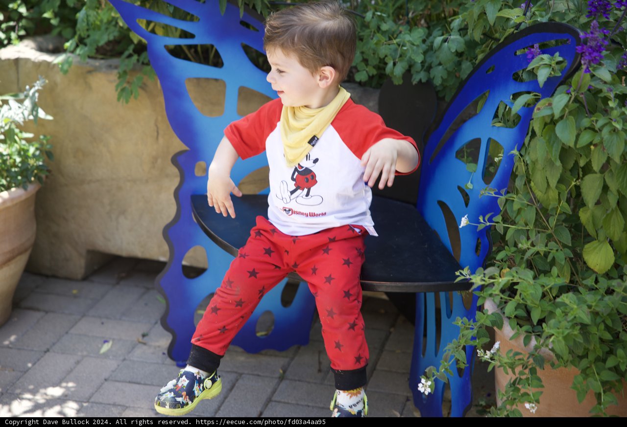 Garden Adventures
