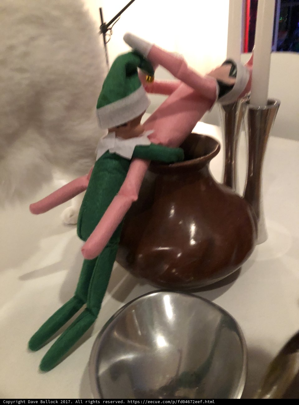 The Elf and his Feline Companion