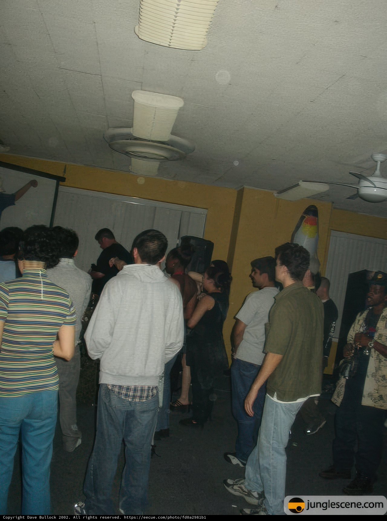 Nightclub Revelry
