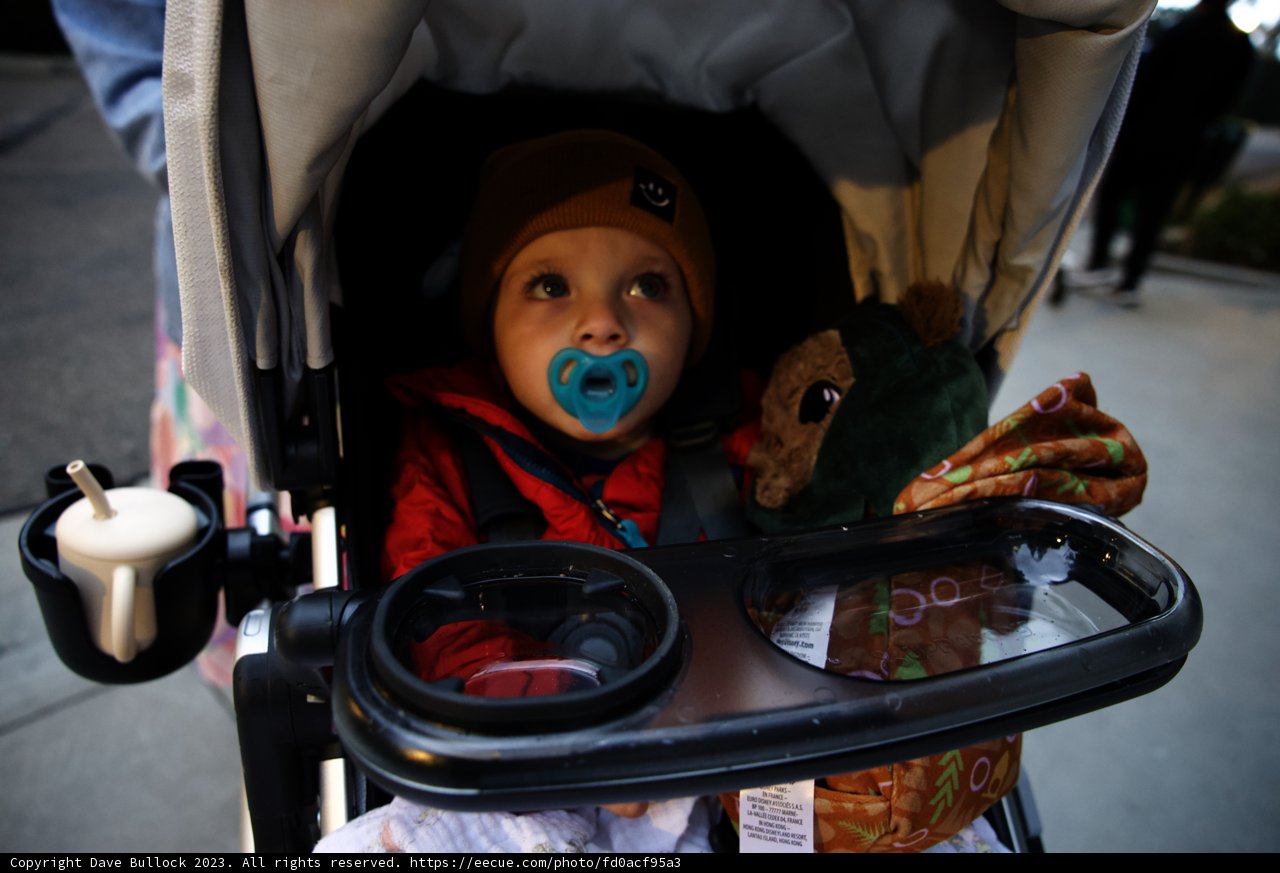 Charming Stroller Adventure at Disneyland