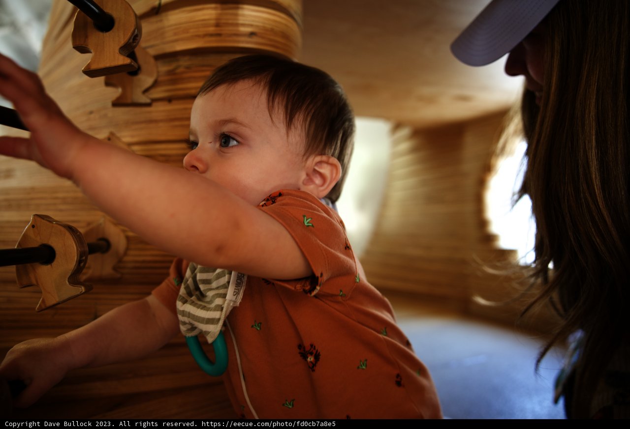 Unforgettable Moments at Bay Area Discovery Museum