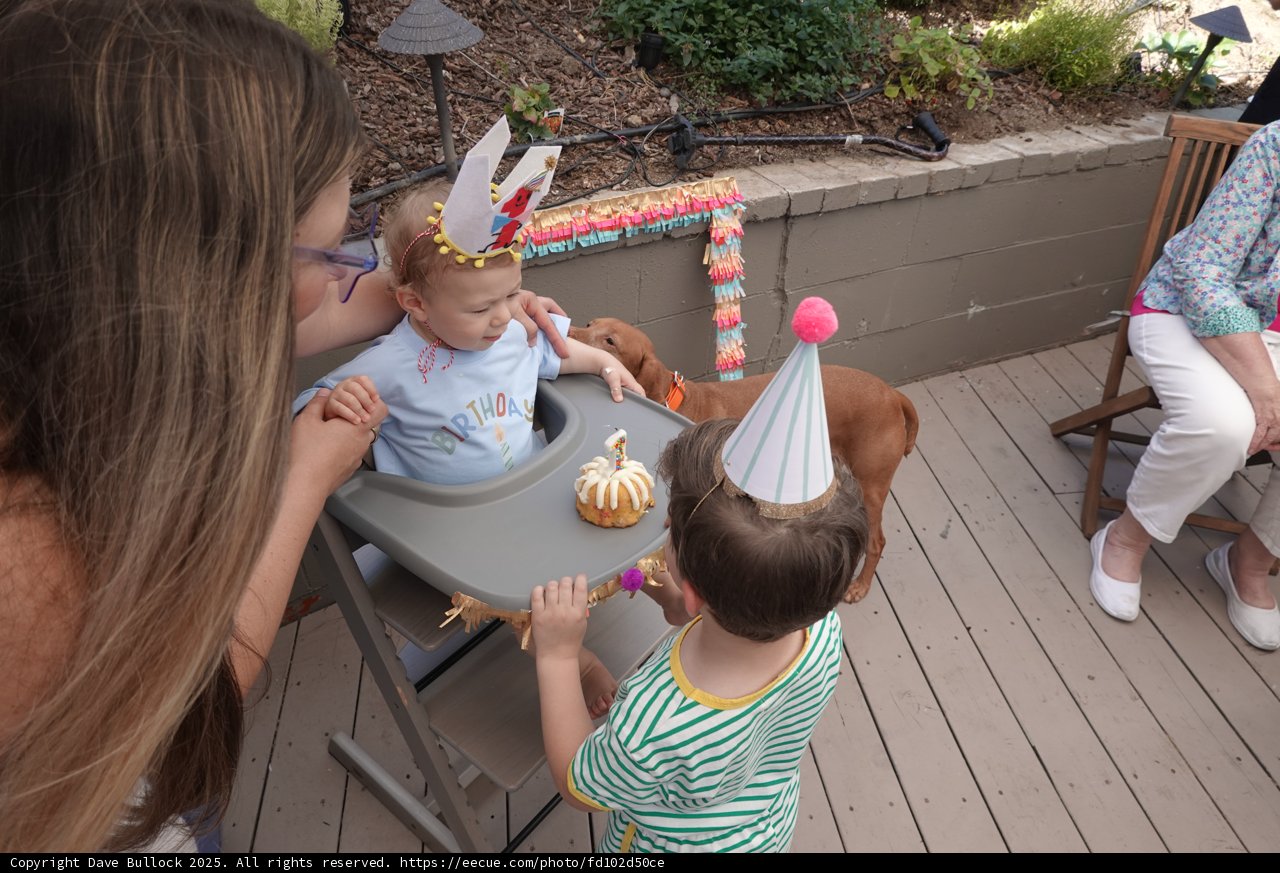 Celebrating Little Joys