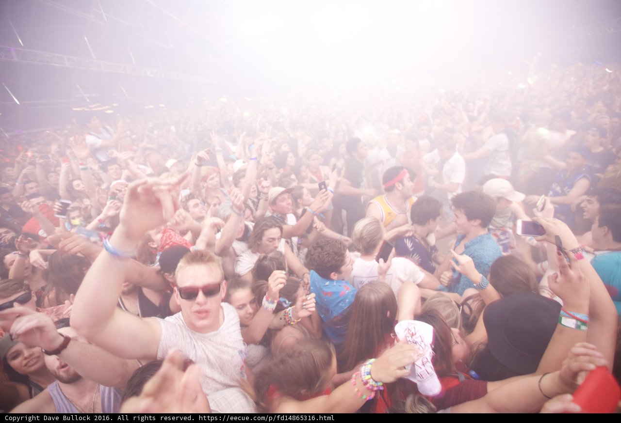 Coachella Concert Crowd